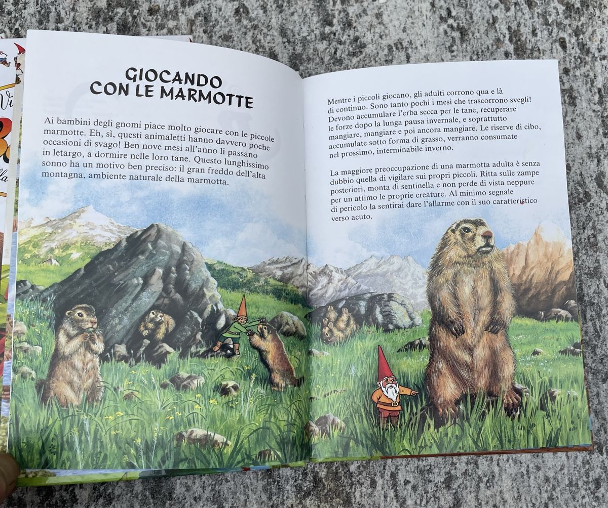 Livres: Collana libri  Viaggiamo con Benjamin – D'occasion à Quinto par Arpe11 4