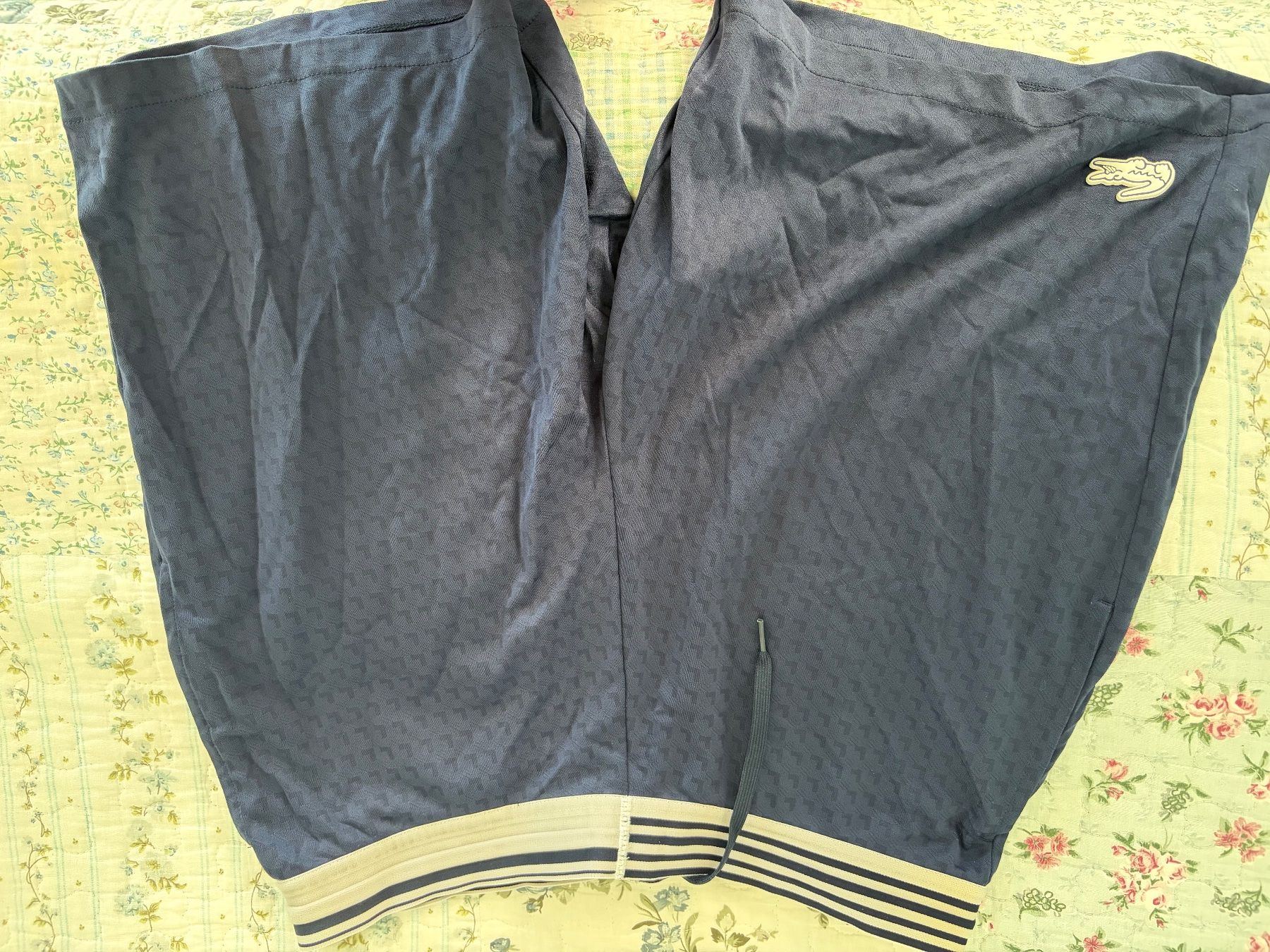 Lacoste Pantaloni: Dunkelblaue Original Lacoste Shorts – Usato da Rüschlikon venduto da pat_6hmj 1