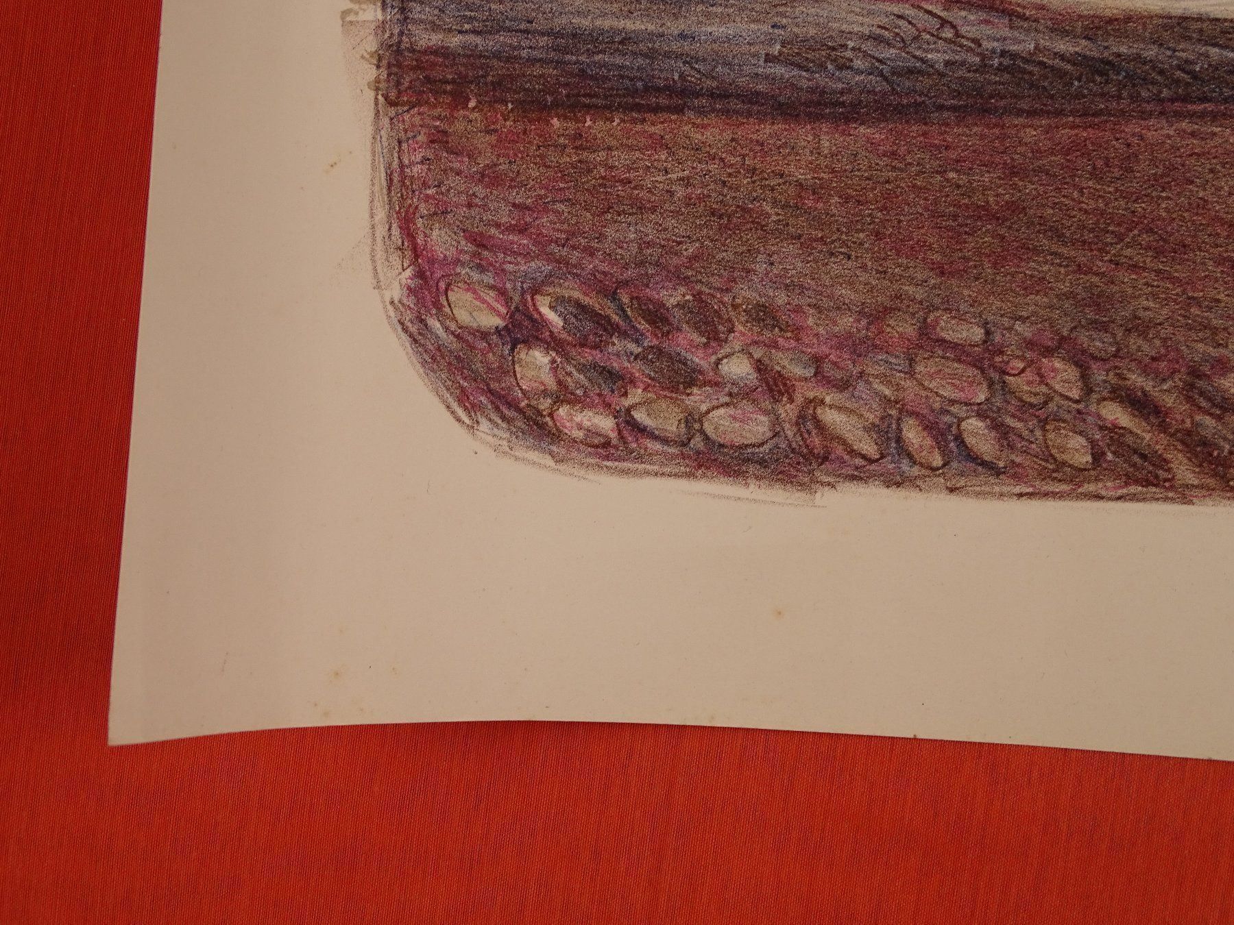 Grafica & Litografie: FELIX HOFFMANN: LITHOGRAPHIE PFLÜGENDE – Usato da Grüningen venduto da Kartensammler 7