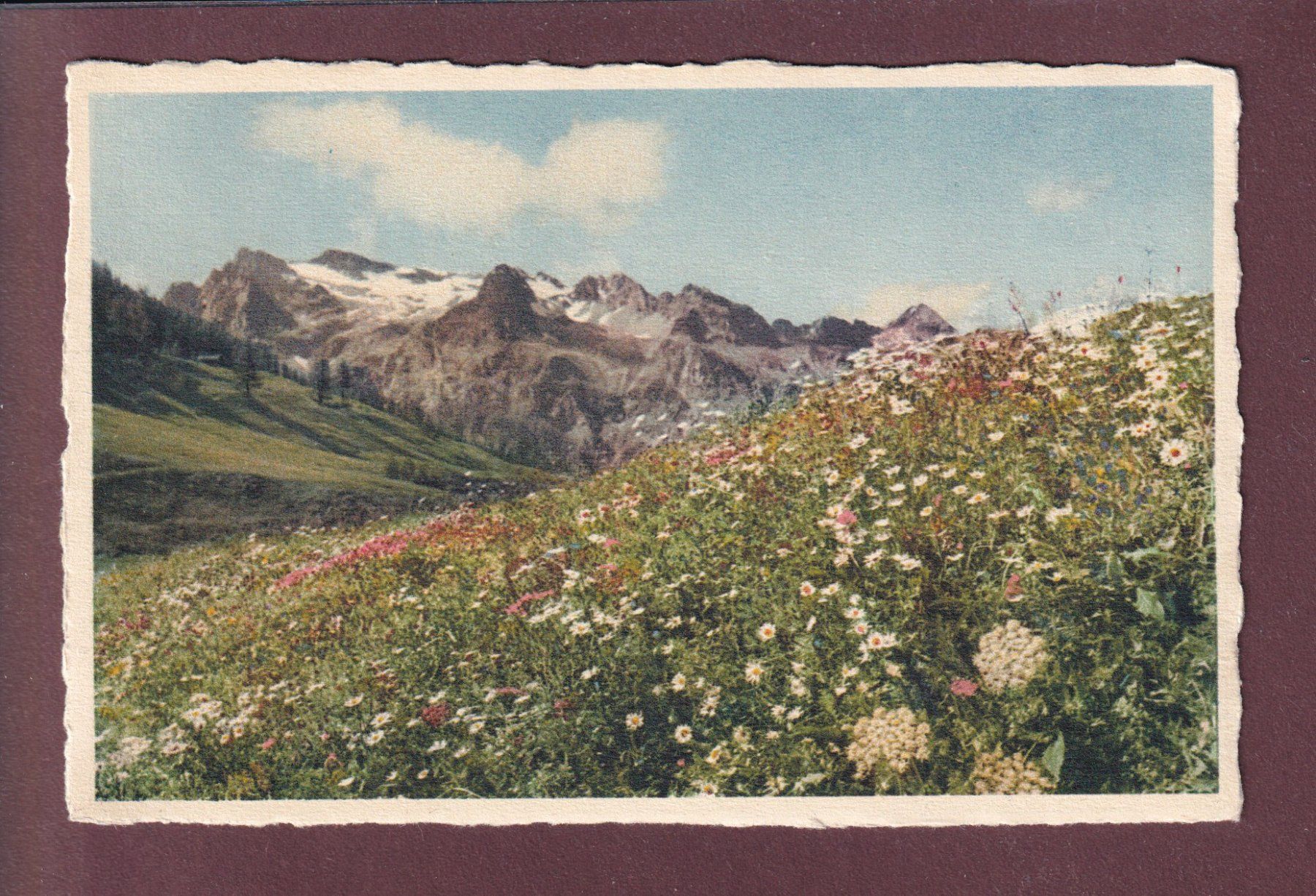 Cartoline postali: Sommer im FEXTAL - Sils – Usato da Pully venduto da nicecards
