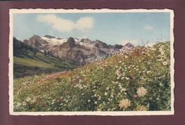 Sommer im FEXTAL - Sils