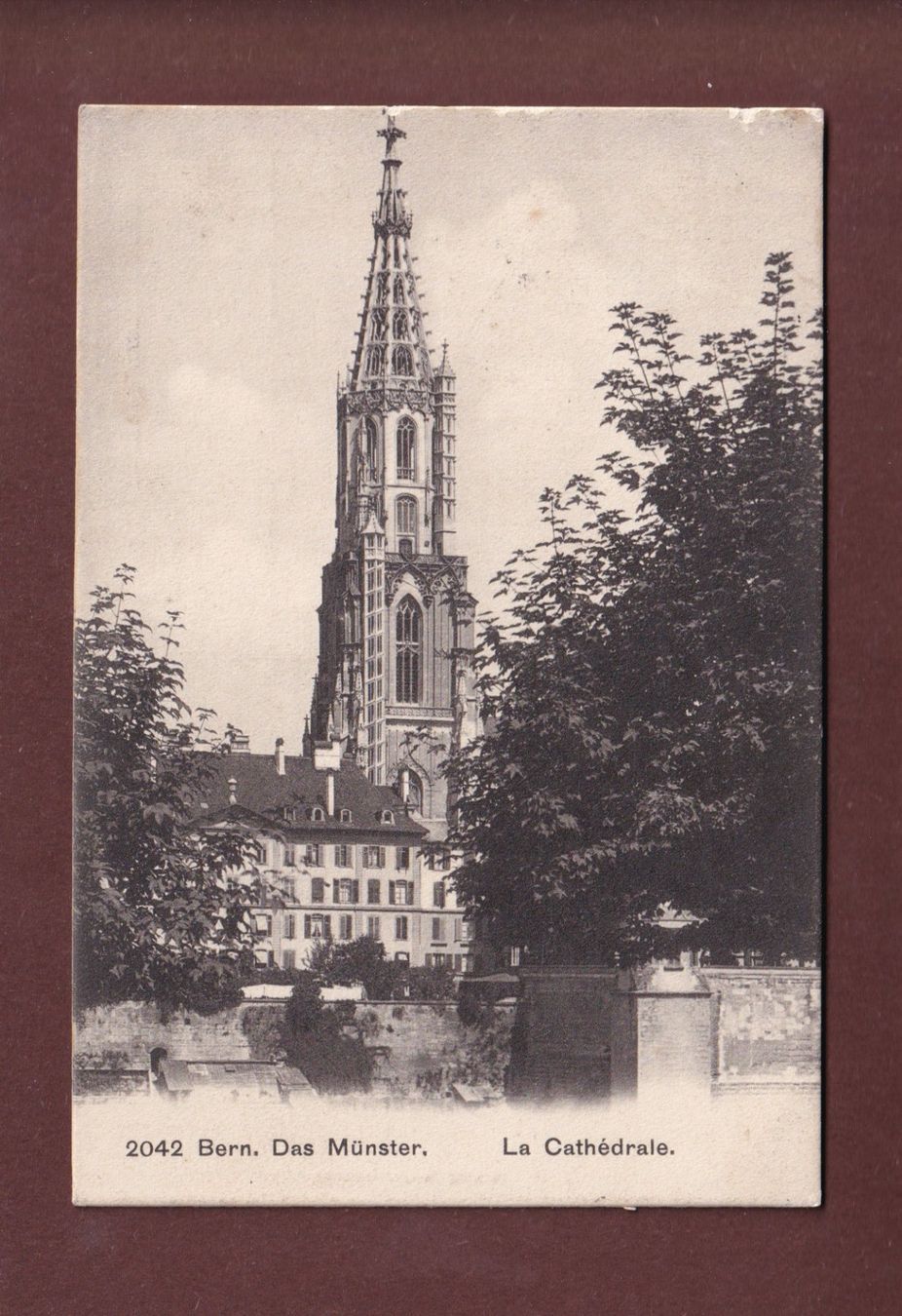 Cartes postales: BERN - Münster - 1908 – D'occasion à Pully par nicecards-shop