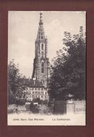 BERN - Münster - 1908