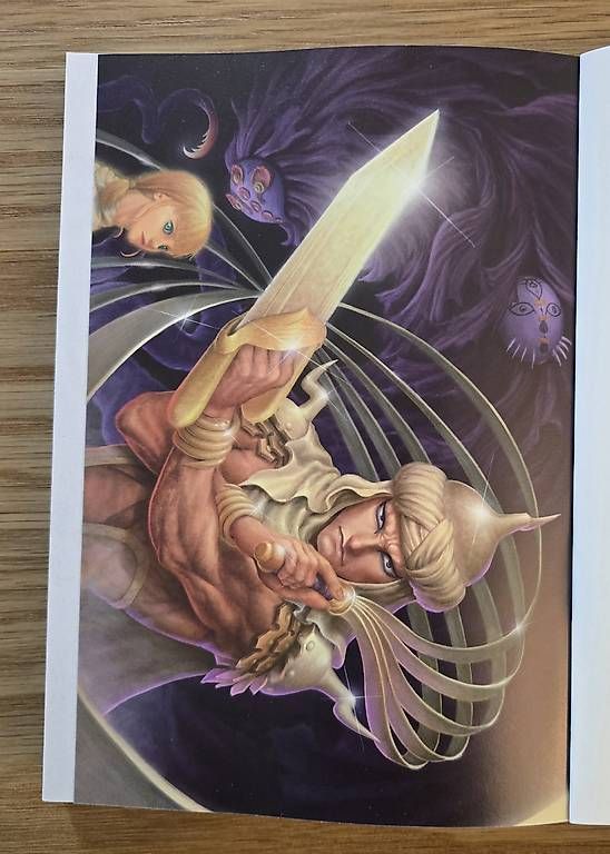 BD: Manga Berserk tome 43 – D'occasion à Bulle par Phob0s 2