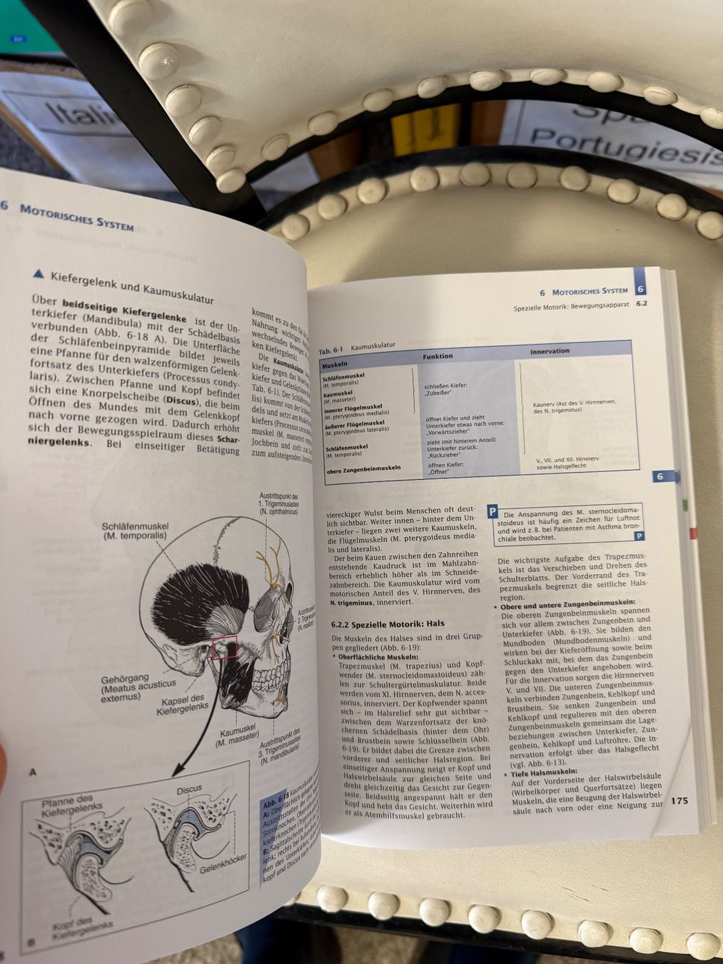 Bücher: Handbuch Anatomie – Gebraucht aus Dietikon von Buchantiqdietikon 2