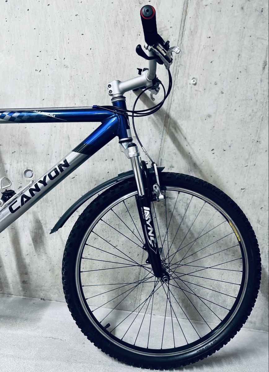 Canyon Biciclette: Canyon Mountainbike – Usato da Zürich venduto da Bidon3011 7