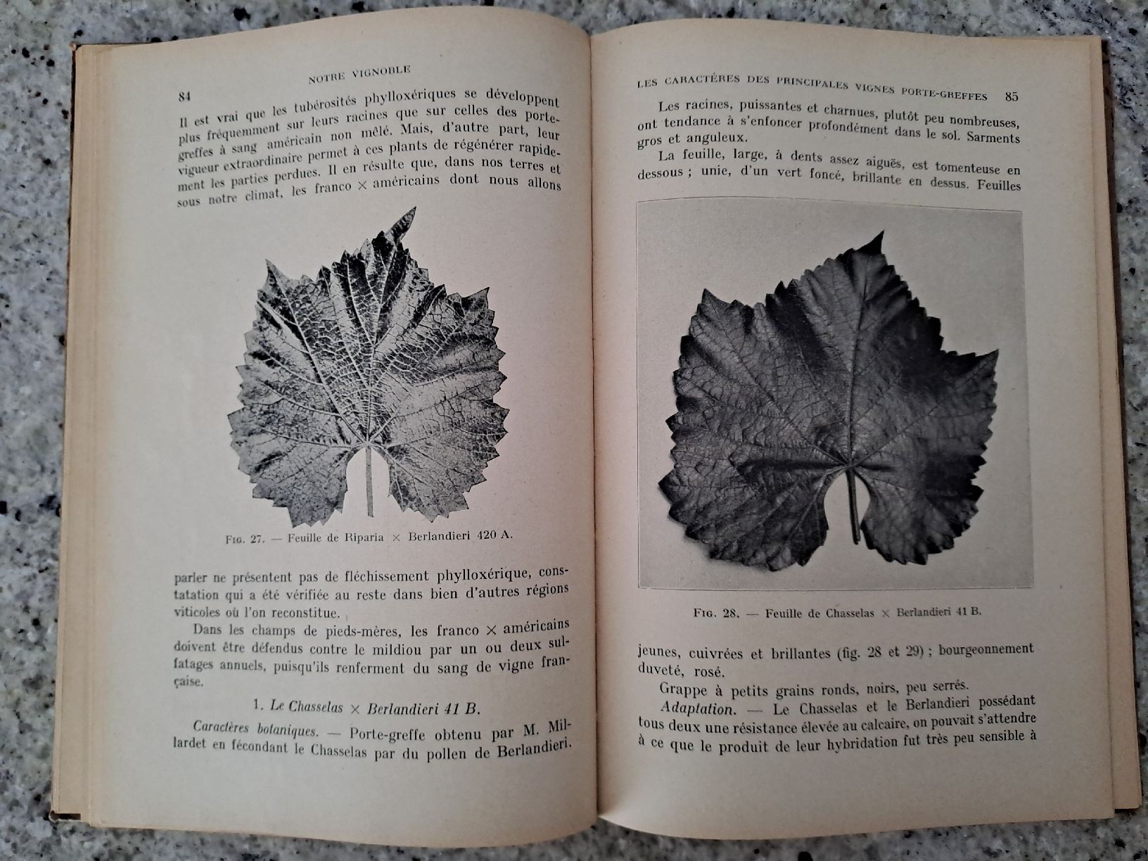 Libri: Vintage Viticulture Book "Notre Vignoble" – Usato da Genève venduto da sunsustains 4