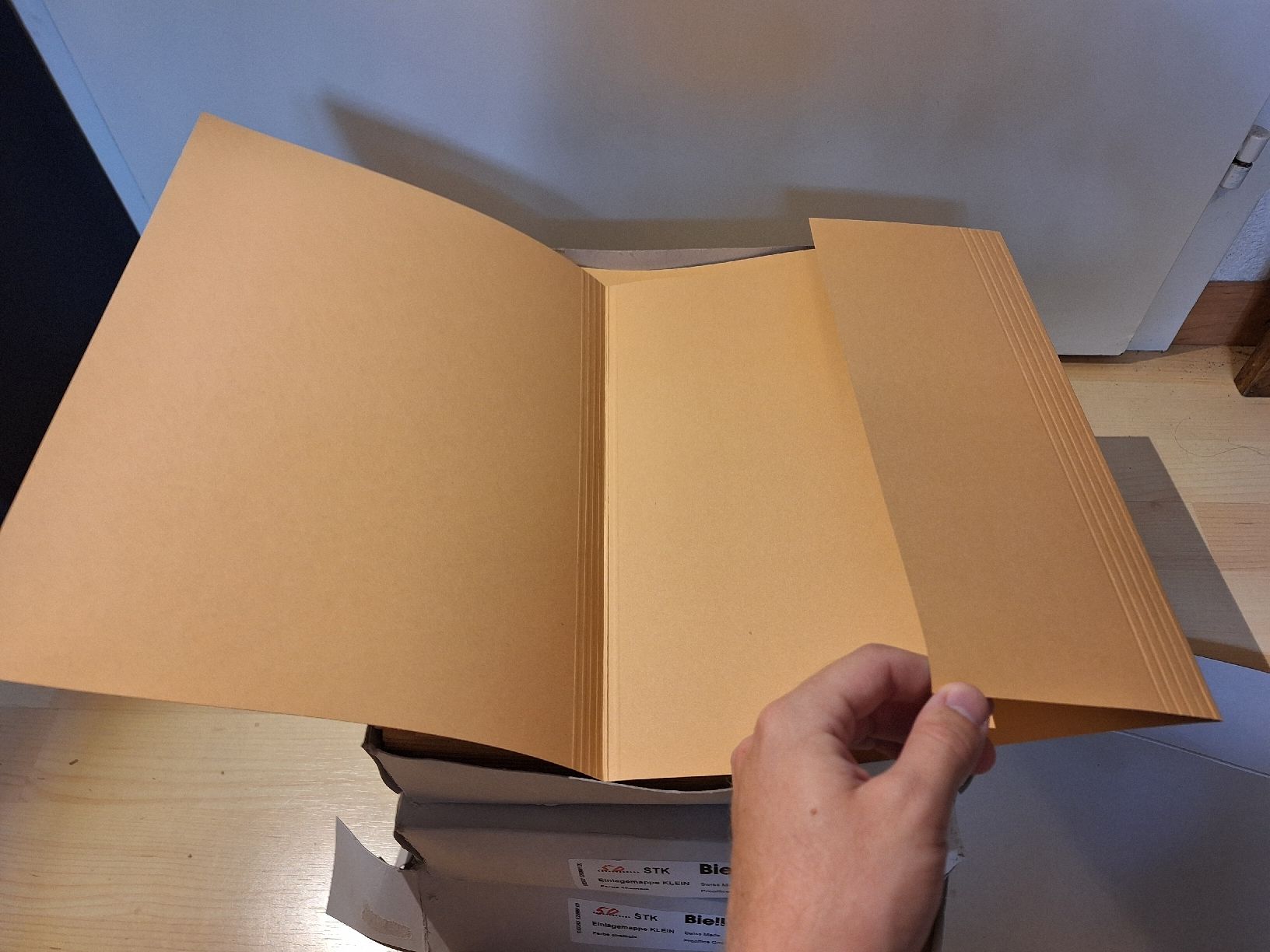 Biella Raccoglitori: Ca. 150 Biella Einlegemappen Chamois – Nuovo e nell'imballaggio originale da Ipsach venduto da nik_6hkj