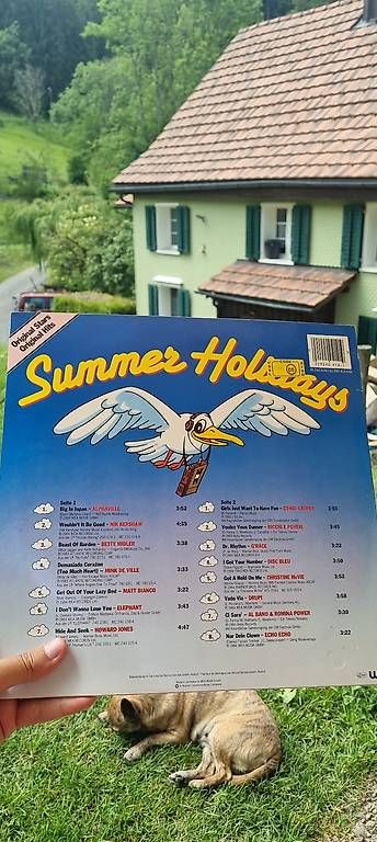 Schallplatten: Superholidays  LP (Compilation) – Gebraucht aus St. Gallen von chr_72ml 1