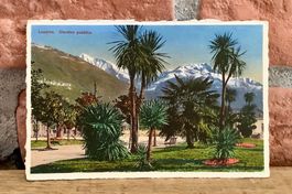 LOCARNO - Giardino pubblico - Tessin