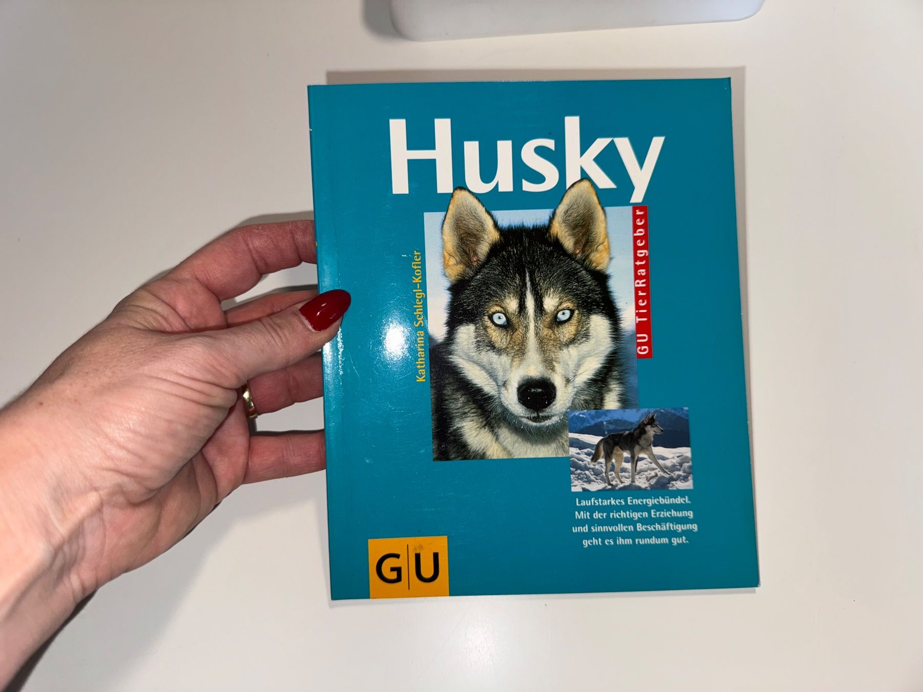 Bücher: BUCH: Husky – Gebraucht aus Grosswangen von Second_hand_paradise