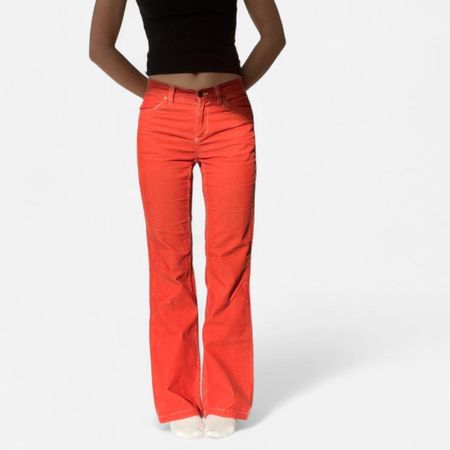 Cordhose orange Bootcut
