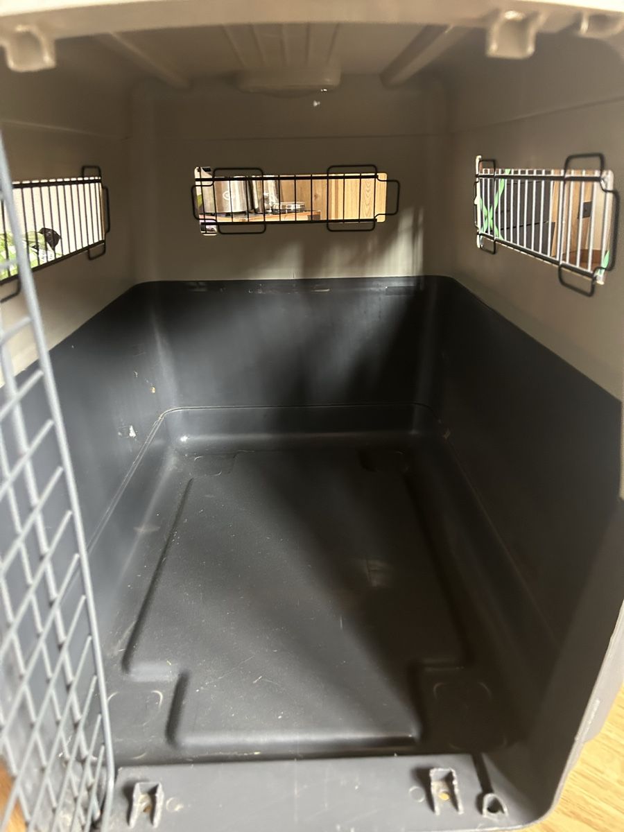 Gabbie, trasporto & Sicurezza: Praktische Hunde Transportbox  – Usato da Gattikon venduto da salomefrehner 3