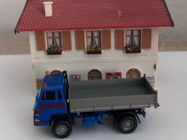 Roco Steyer 91 LKW