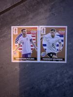 Panini Extra Sticker wm2026!