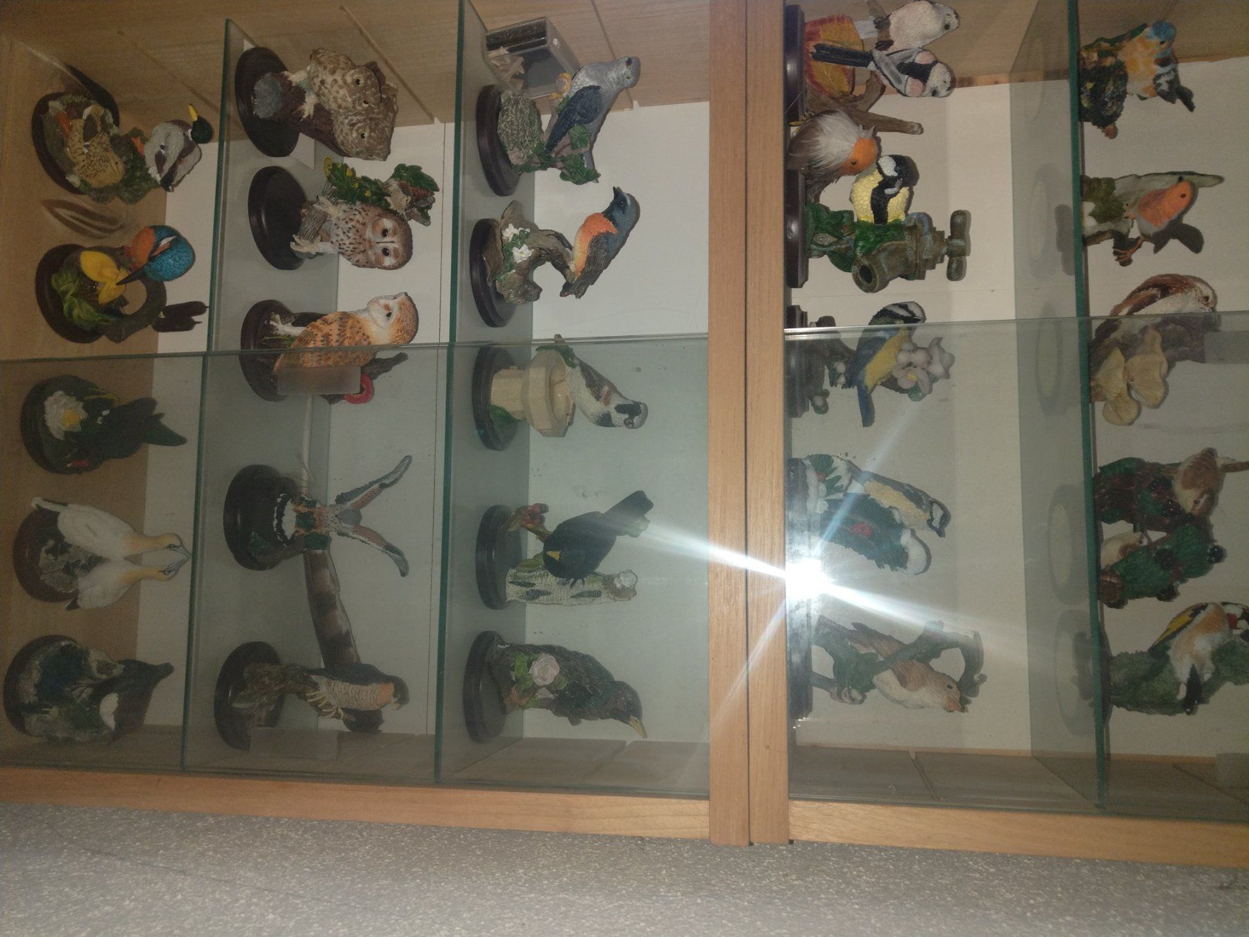 Tutte le decorazioni: A vendre collection de 80 oiseaux – Usato da Tramelan venduto da and_j8tk 7
