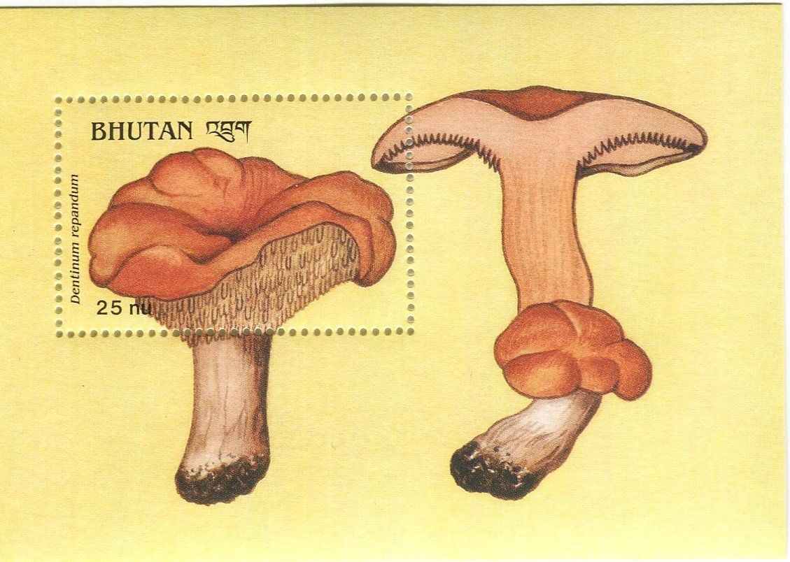 Tous les timbres: Block "Pilze". Bhutan – Neuf avec emballage d'origine à Basel par Butsch5