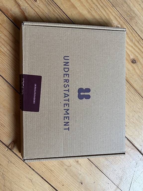 Sonstige Unterwäsche: Understatement BH, Grösse M – Gebraucht aus Zürich von liv_t5ft 1