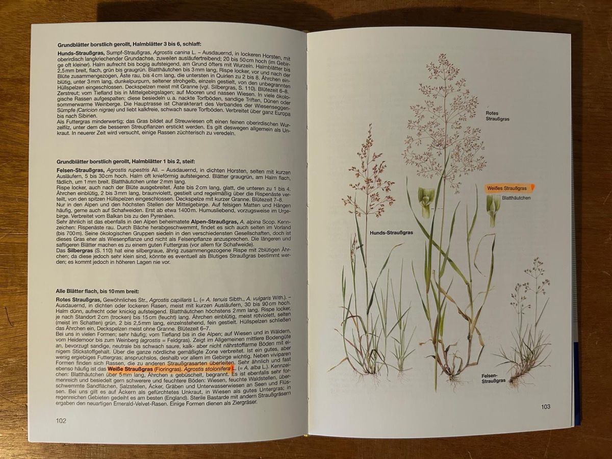 Bücher: Unsere Gräser. Aichele / Schwegler. Kosmos – Gebraucht aus Zürich von WWehrle 3