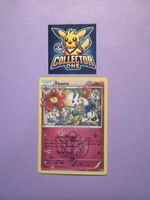 Pokemon Floette Pokemon Anniversary Celebrations 2016