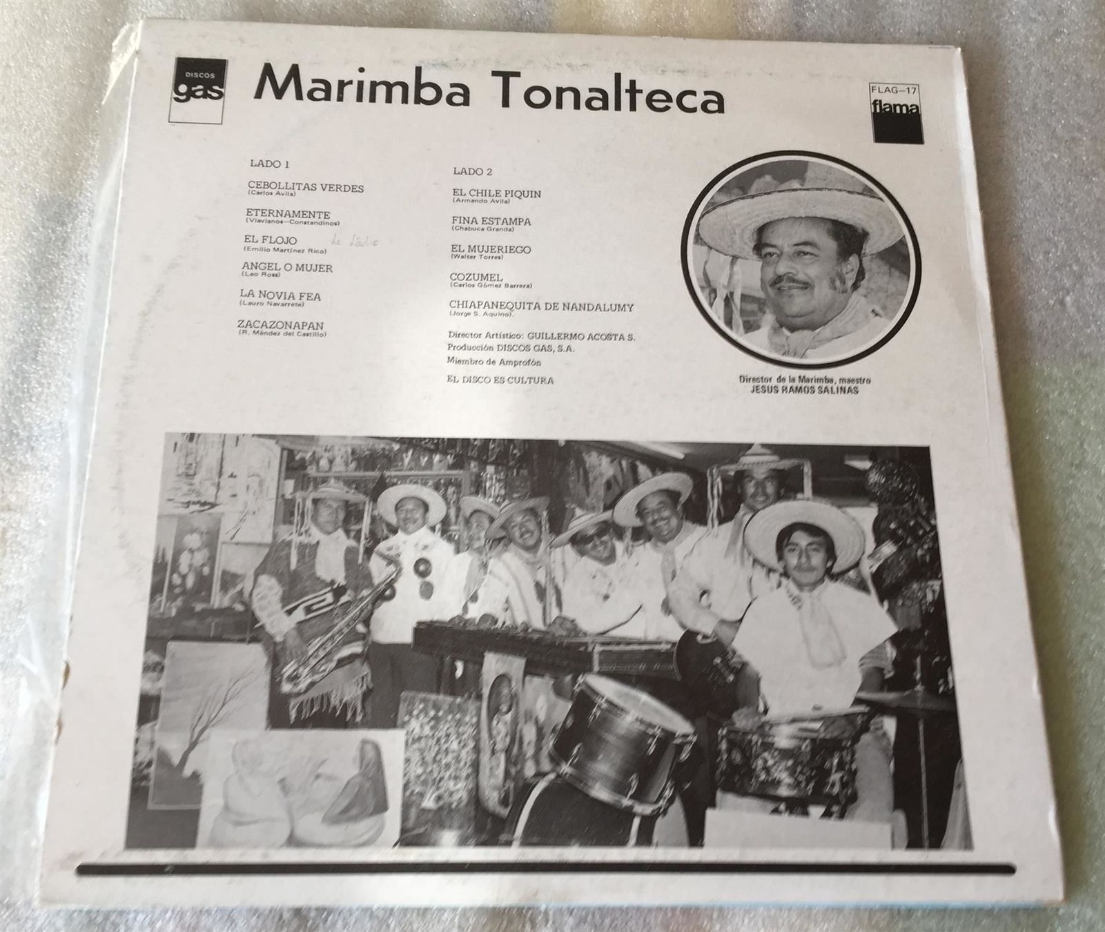 Strumenti musicali: Marimba Tonalteca Flama Flag-17 Mexico – Usato da Genève venduto da Cockattoo 1