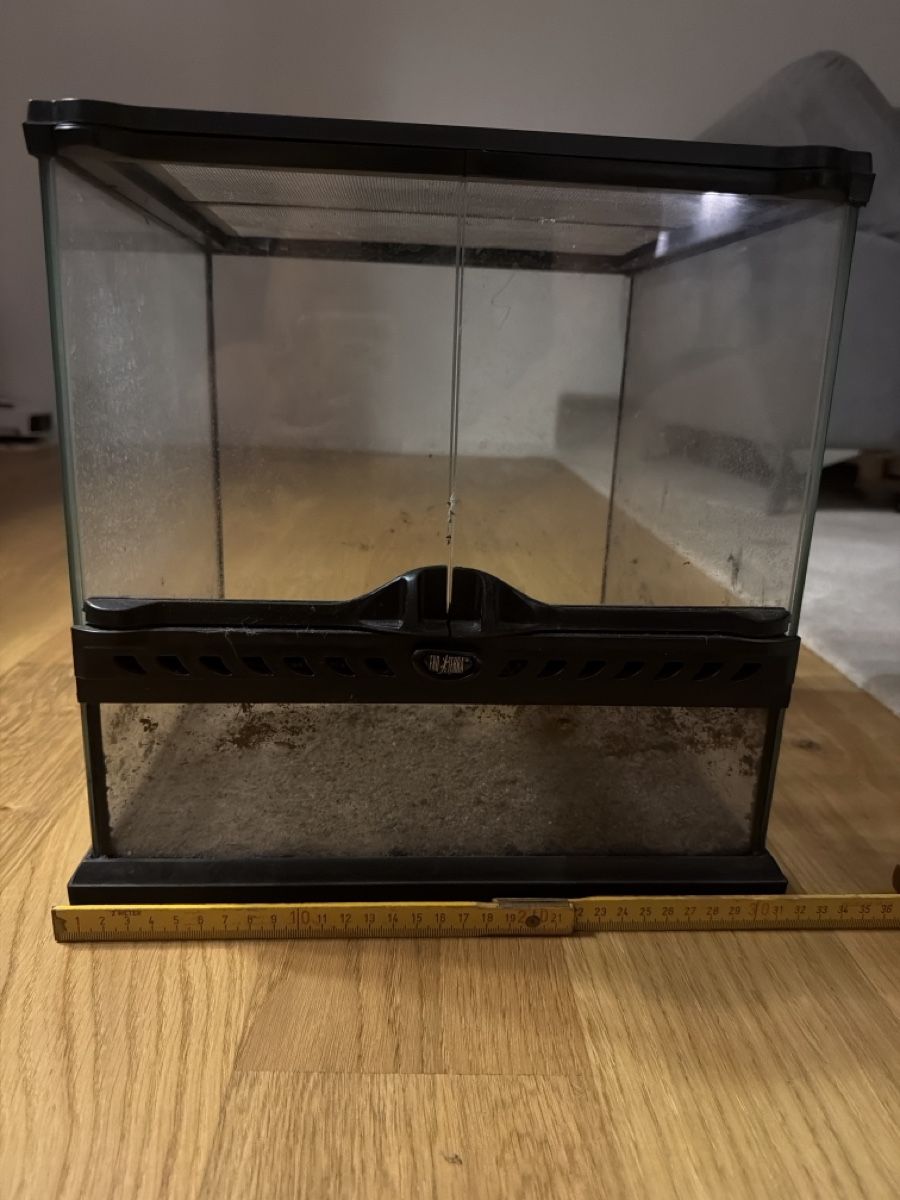 Terrario: Exo Terra Terrarium – Usato da Horgen venduto da bok_6ttc 4