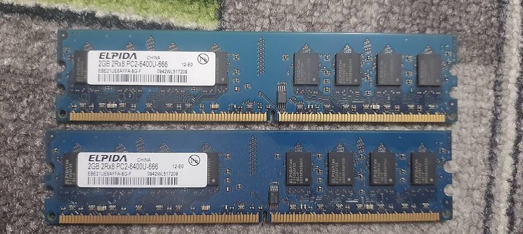 Schede di memoria: Ddr2 – Usato da Grabs venduto da Neuton