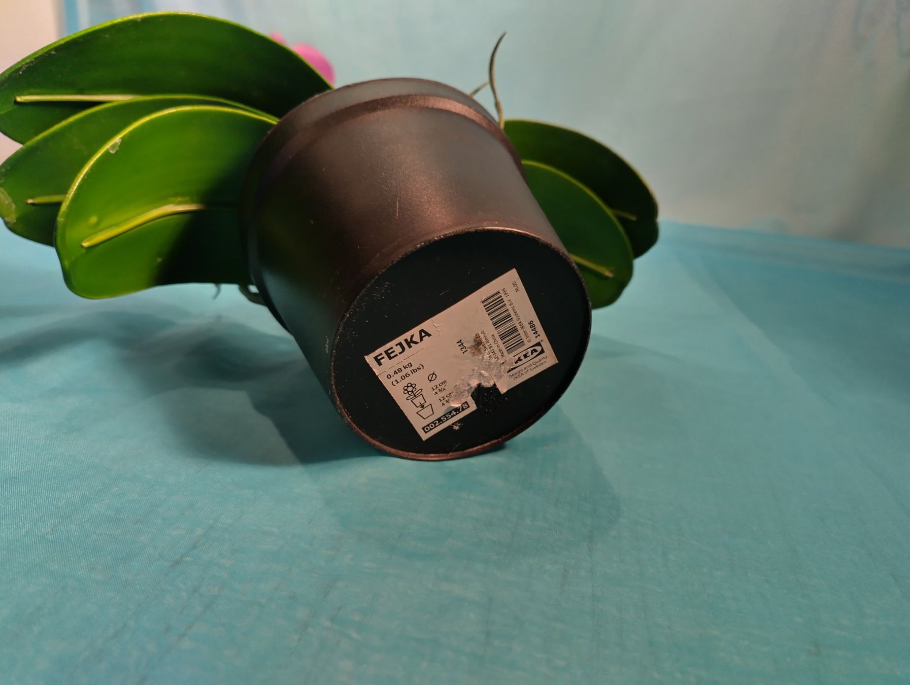 Piante & sementi: Phalaenopsis, rosa , im Topf, IKEA, 60cm – Usato da Bellach venduto da JingleCherry 4