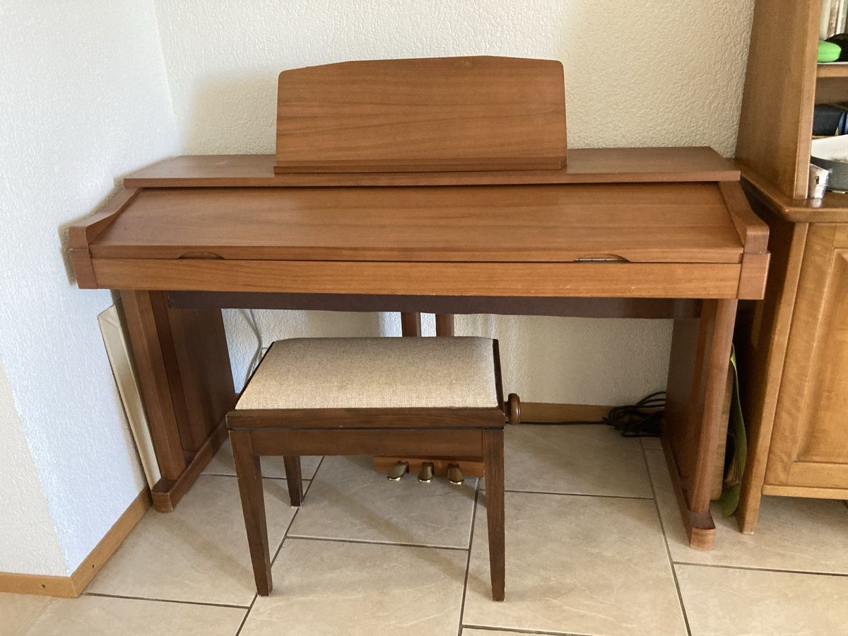 Wersi Strumenti musicali: Piano éléctrique Wersi – Usato da Les Verrières venduto da gra_9thf