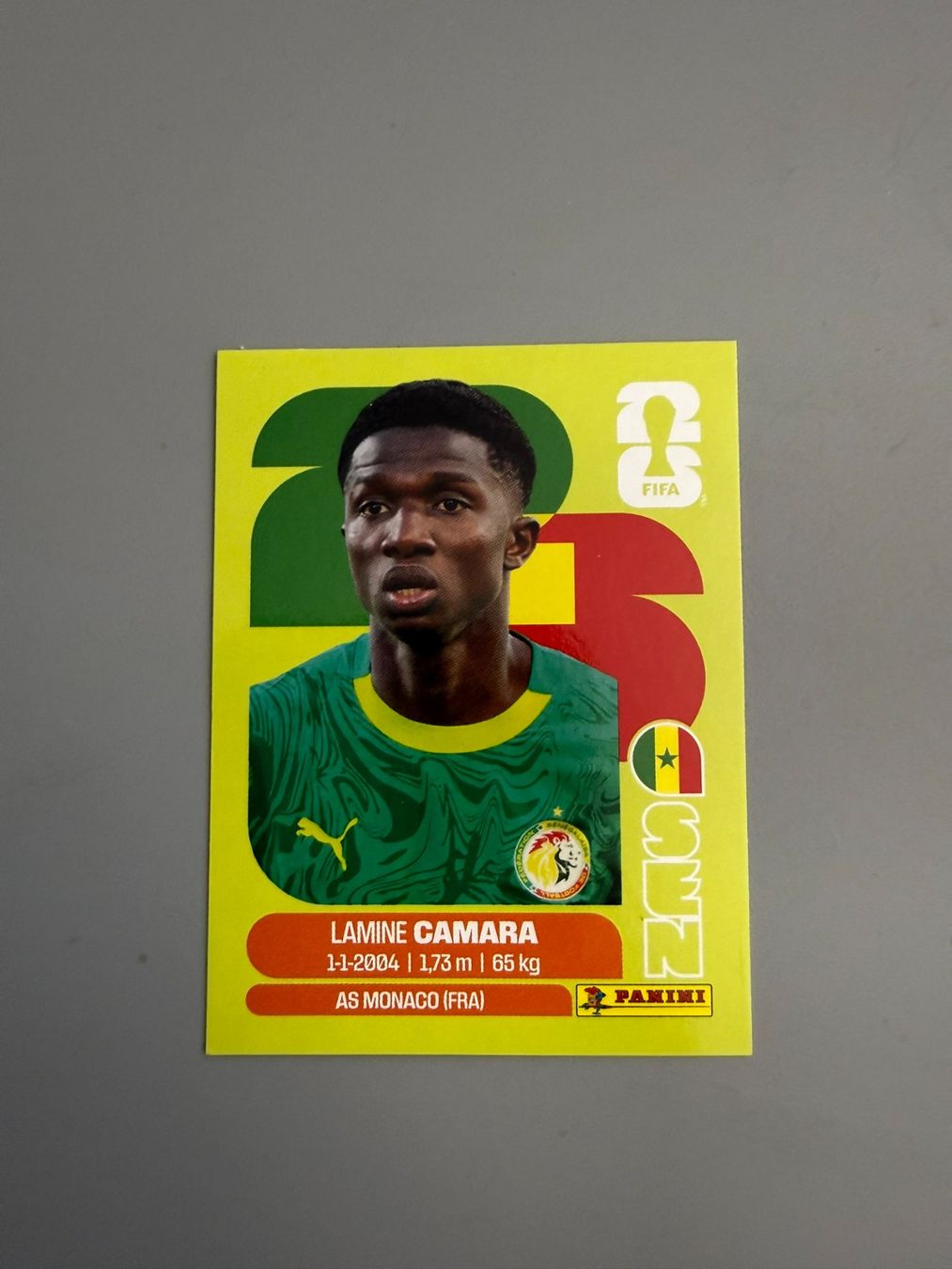 Panini Sammelbilder & Trading cards: Panini Lamine Camara SEN14 – Gebraucht aus Liebefeld von Ronaldo-1996