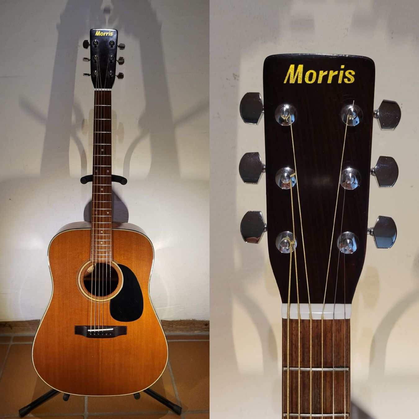 Strumenti musicali: Western Gitarre Morris WT-19 – Usato da Winterthur venduto da NorrSydGuitars 1
