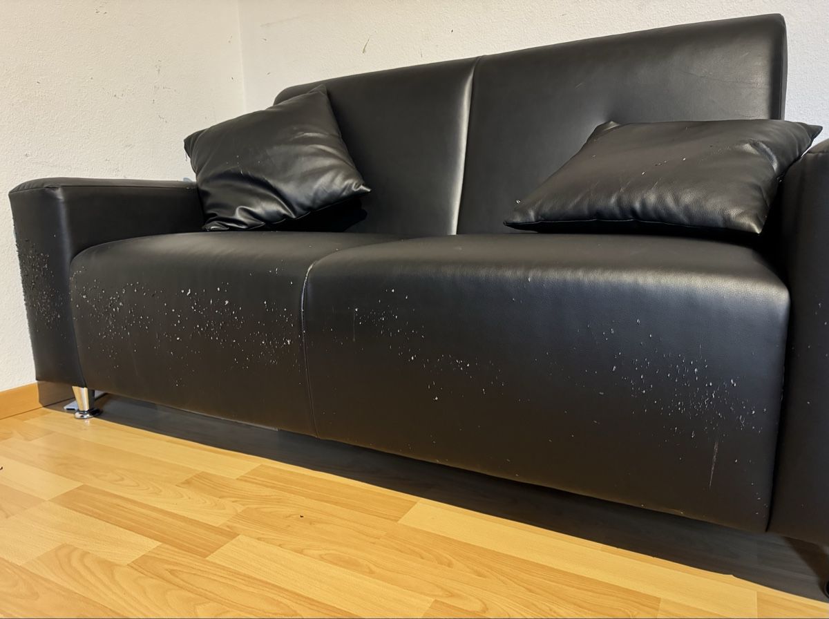 Divani: Ledercouch mit Kissen – Usato da Stetten AG venduto da ble_zv8r 2