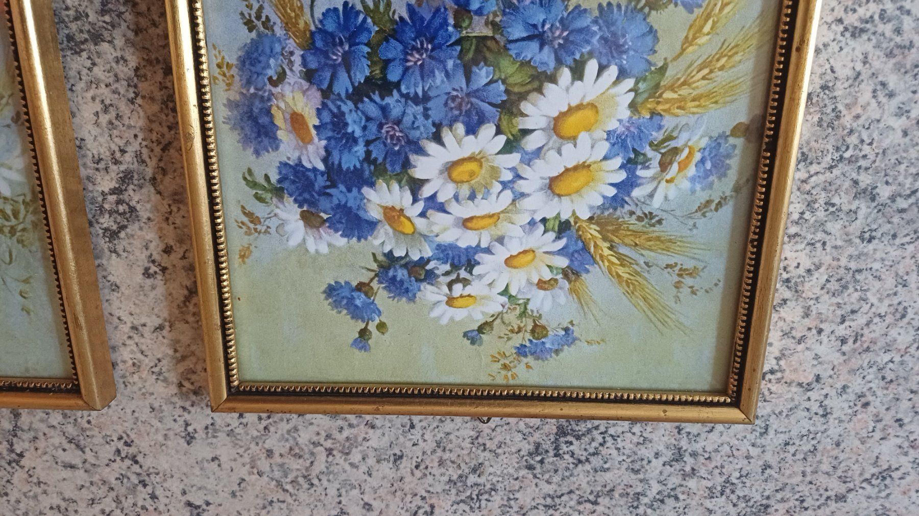 Foto & Immagini: 2 Schöne Blumenbilder – Usato da Flawil venduto da Pinkmalibu 6