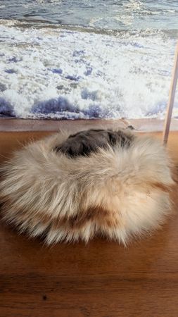 St. Moritz Style, warme Wintermütze, Top Zustand Gr. 56, M