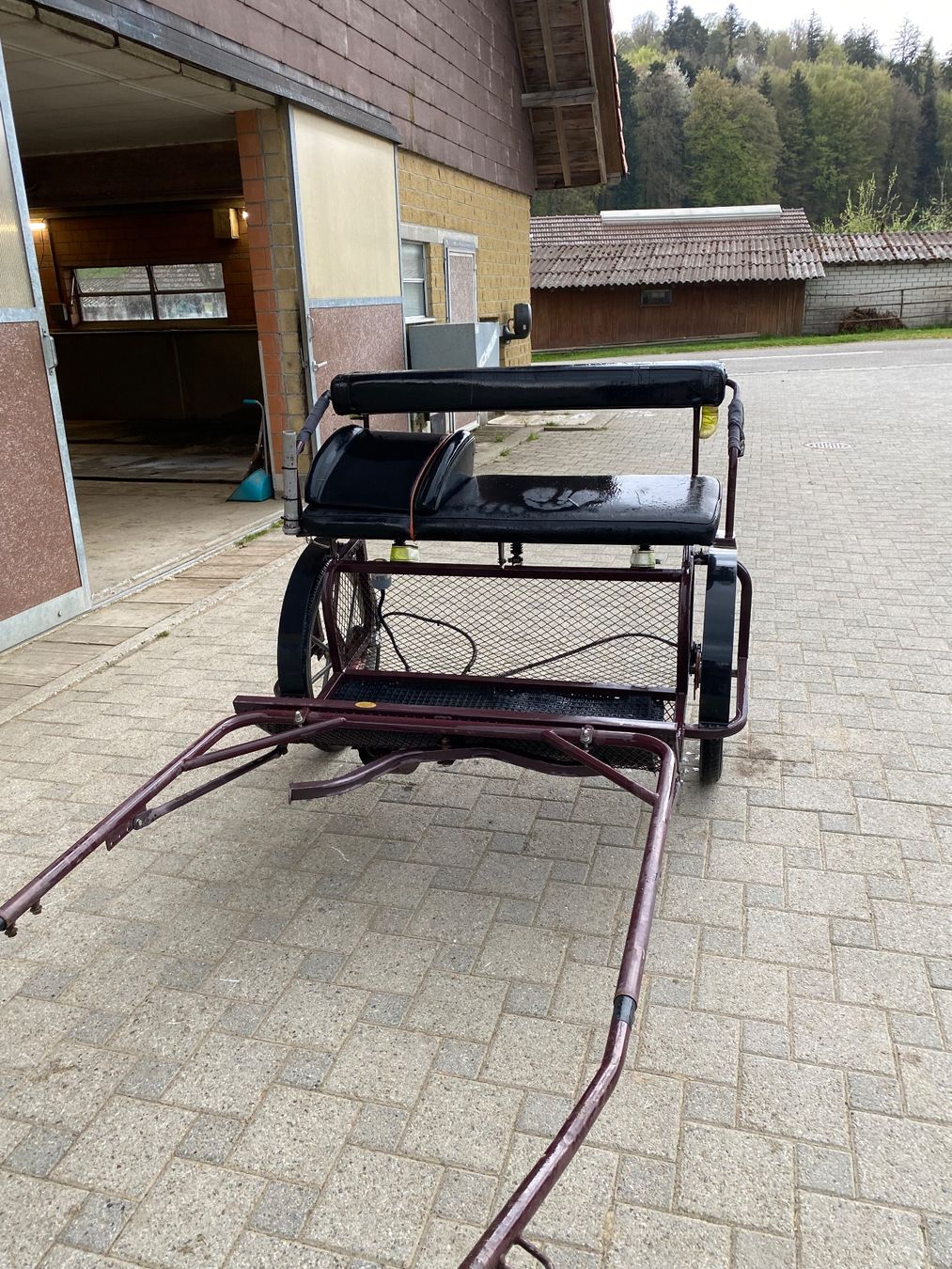 Carrozze: Einspänner-Kutsche, Gig – Usato da Brügg BE venduto da Nayeli02