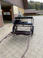 Einspänner-Kutsche, Gig