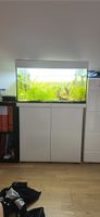 Top Aquarium mit Unterschrank und Zubehör