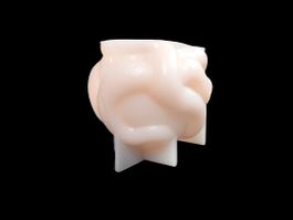 Silikonform (Giessform)