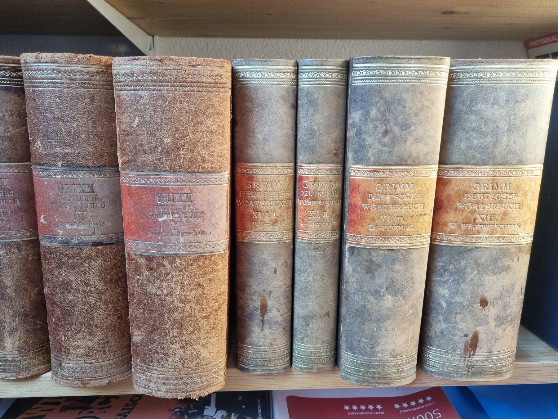 Libri: Originalausgabe Grimms Wörterbuch, 19 Bänder – Usato da Bern venduto da serainaviola 4