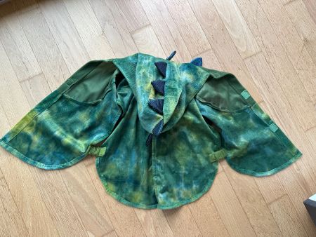 Carnival Dragon Cape Size 92, 2 years, as New