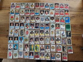 94 x Panini WM Argentina 78