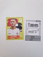 Panini Sticker IRQ17