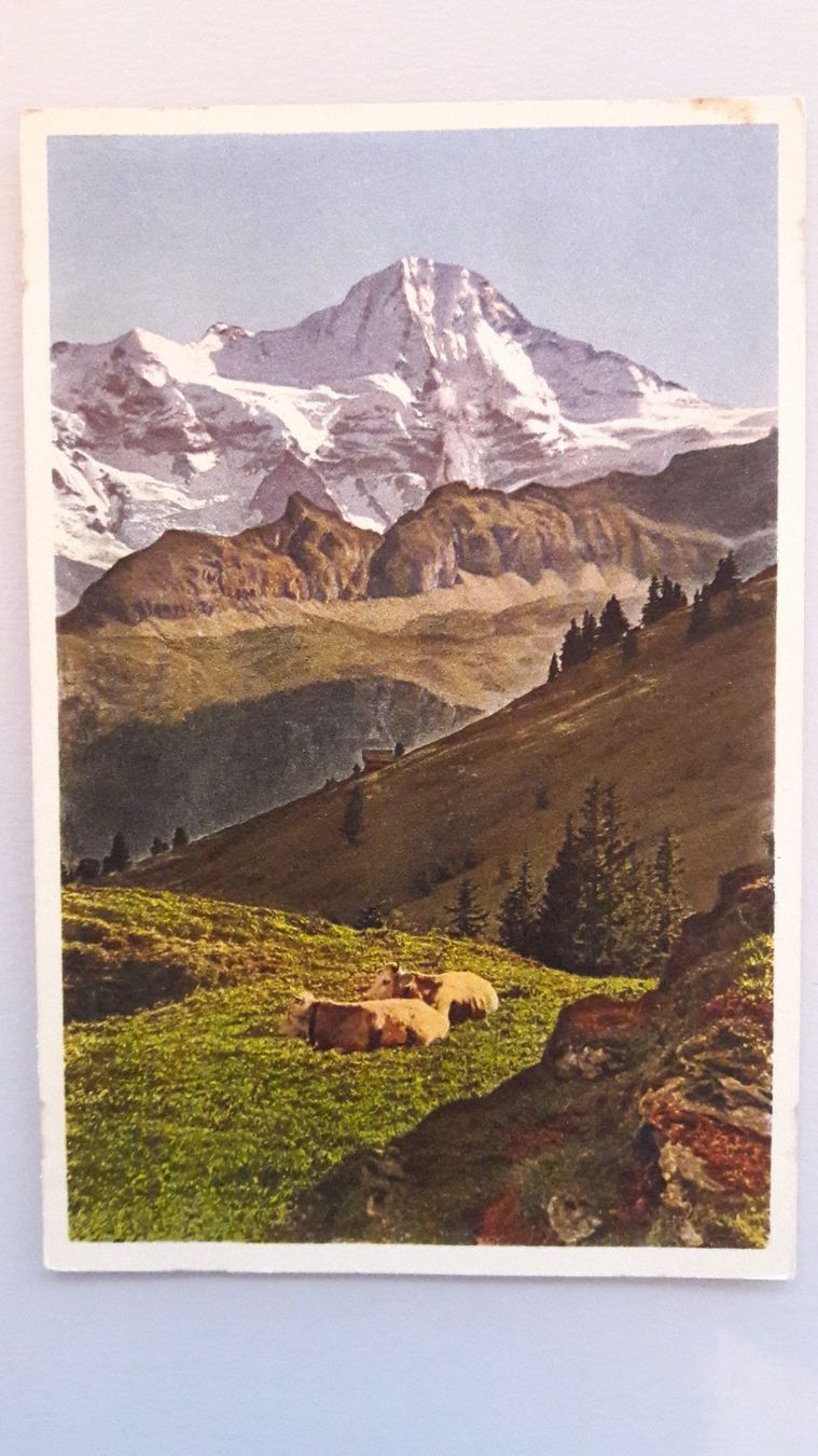 Cartes postales: Lauterbrunnental, Breithorn – D'occasion à Sargans par nicsam1815