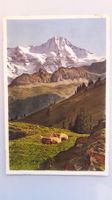 Lauterbrunnental, Breithorn