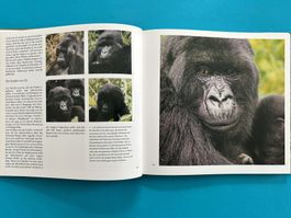 BERGGORILLAS – FAMILIE 5