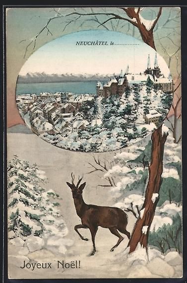 Cartoline postali: AK Neuchâtel, Vue Générale, 1909 – Usato da Berlin venduto da bartko-reher