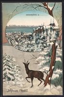 AK Neuchâtel, Vue Générale, 1909