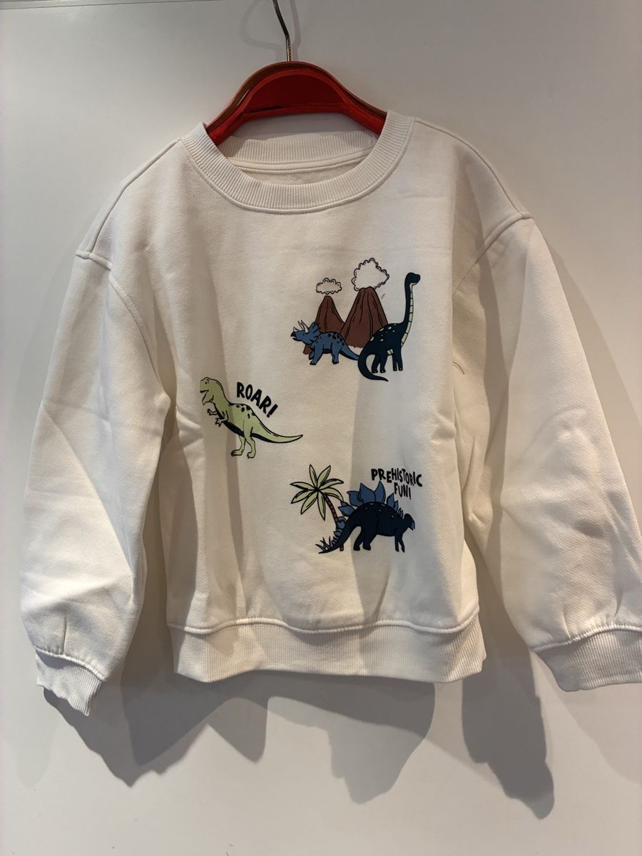 Maglioni & Felpe: Schöner Pullover Gr. 116, Neu – Nuovo (secondo la descrizione) da richterswil venduto da lunamarie001