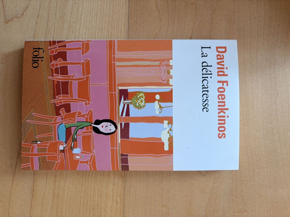 Livres: Livre La délicatesse  – Neuf (Voir description) à Lavigny par Lea_9rxv