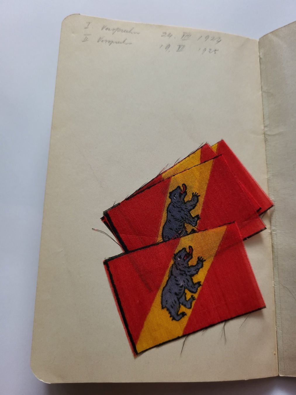 Libri: Pfadi: Schweizerischer Pfadfinderbund Patrouillenbuch 1920 – Usato da Münchenbuchsee venduto da Elykinley 5
